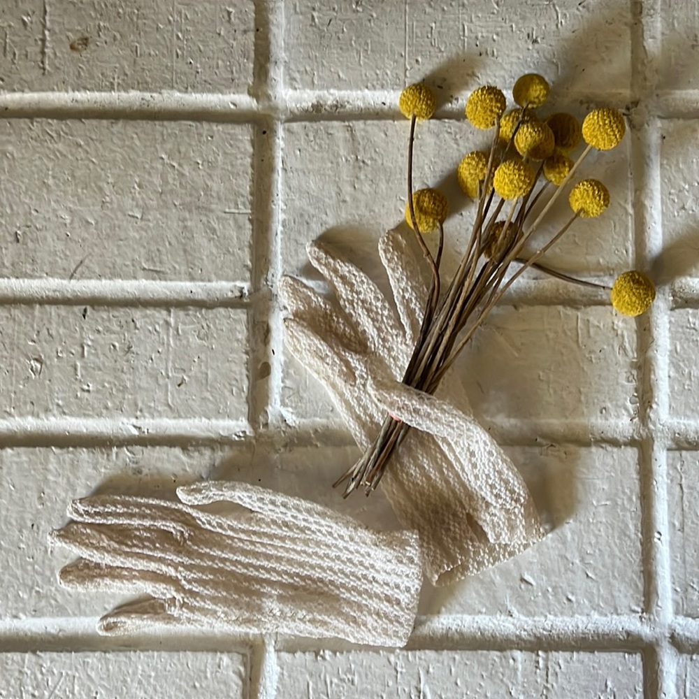 Vintage lace cottage core gloves